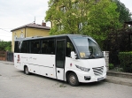 DzikBus~0.JPG
